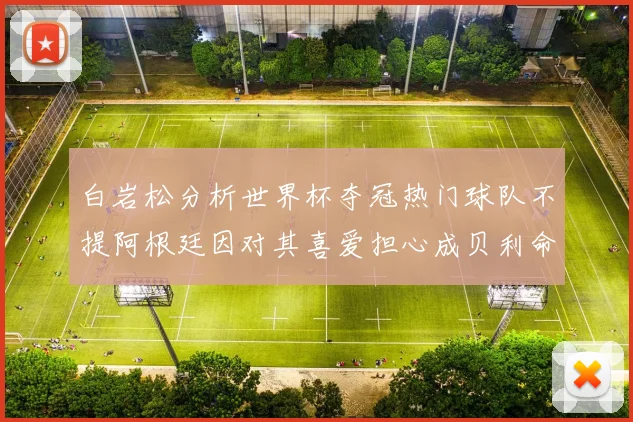 白岩松分析世界杯夺冠热门球队不提阿根廷因对其喜爱担心成贝利命运