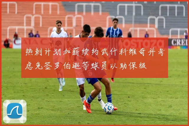 热刺计划加薪续约武什科维奇并考虑免签罗伯逊等球员以助保级