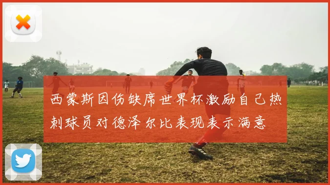 西蒙斯因伤缺席世界杯激励自己热刺球员对德泽尔比表现表示满意